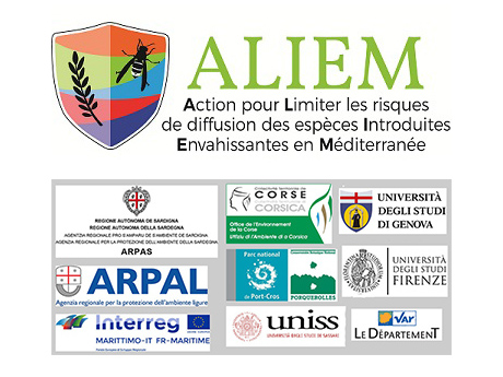 ALIEM