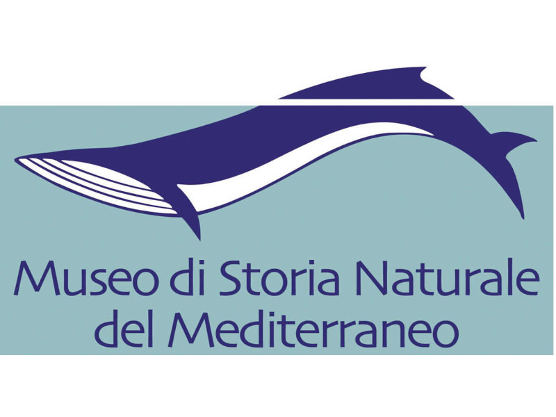Museo storia naturale del Mediterraneo