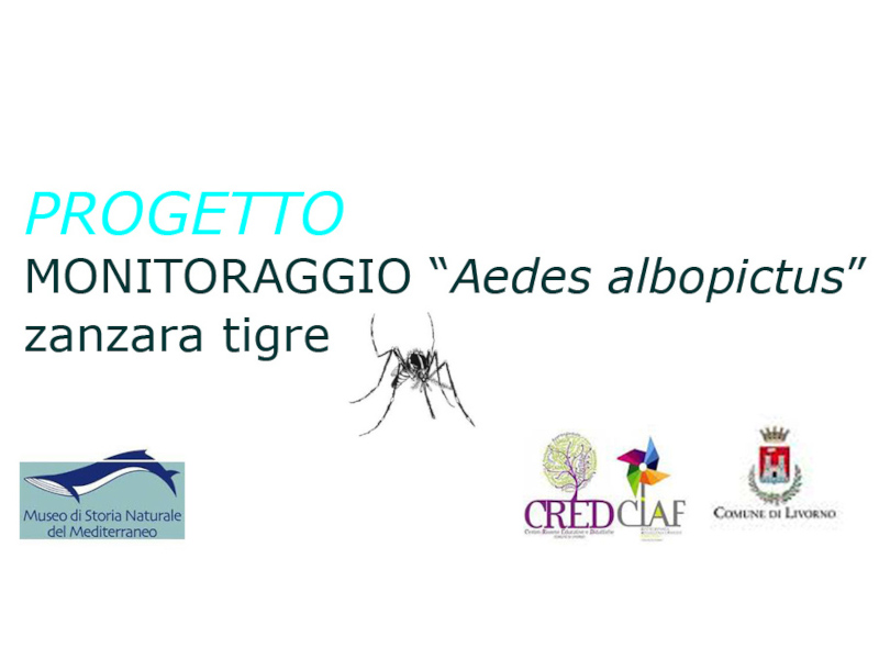 Monitoraggio Zanzare Tigre