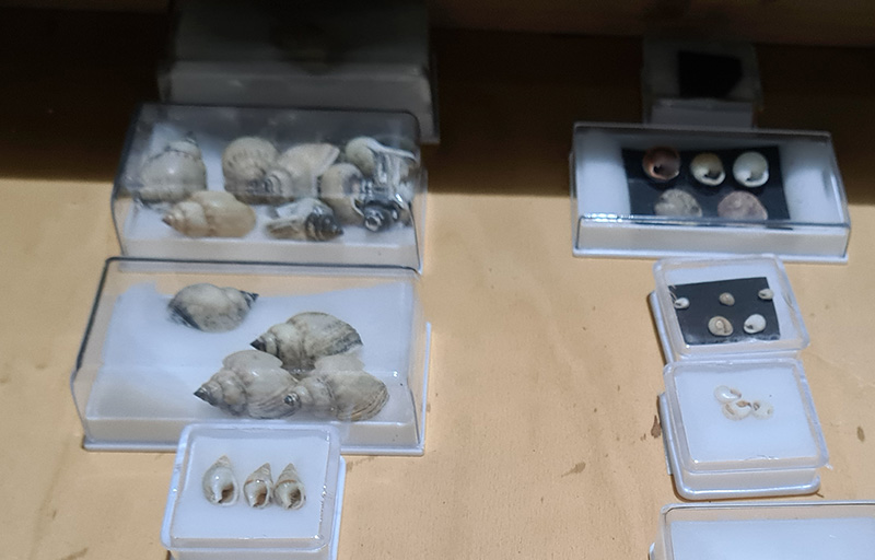 dettaglio cassetto armadio collezione mediterranea
