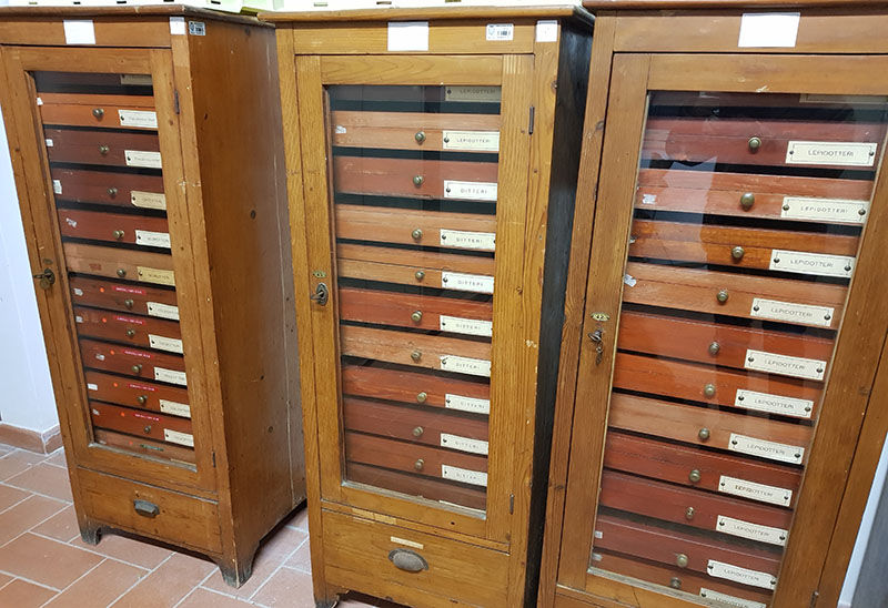 Armadi collezione Schiavazzi
