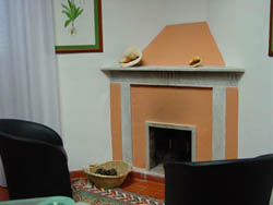 Sala storica - caminetto