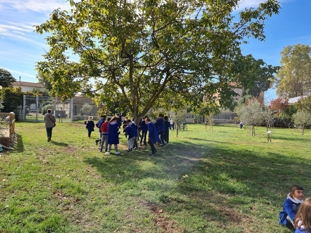 partecipazione  delle scuole