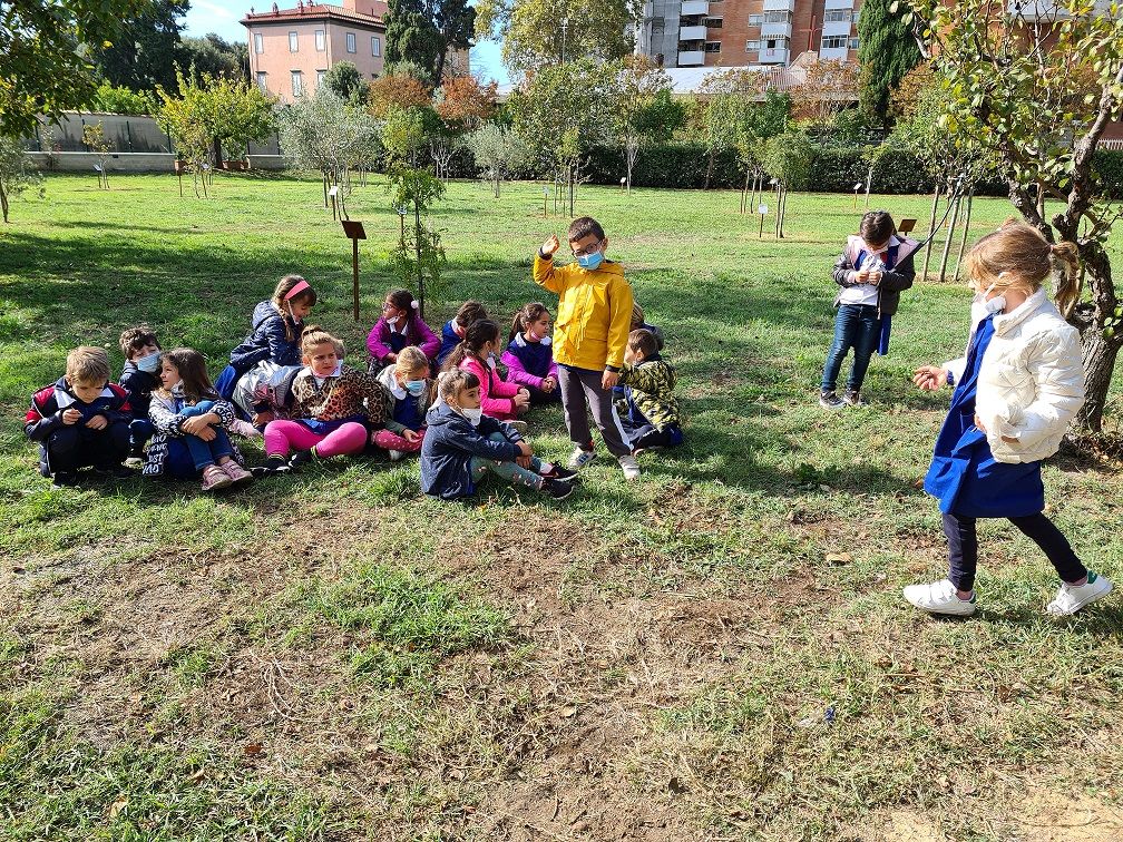 partecipazione  delle scuole