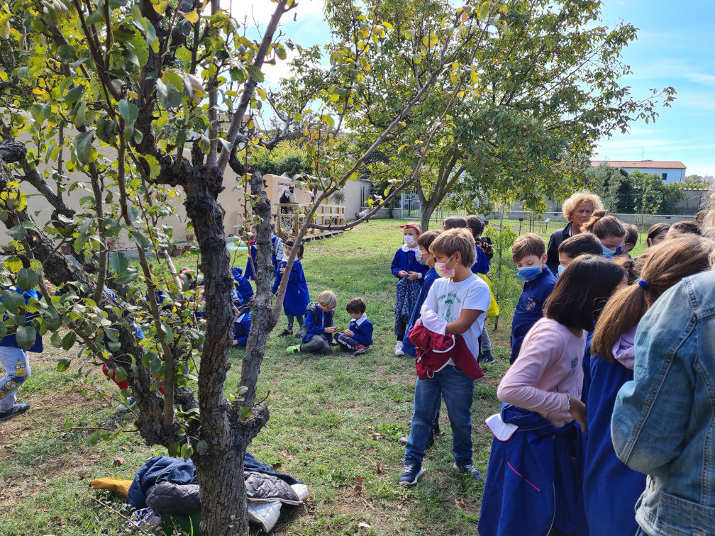 partecipazione  delle scuole