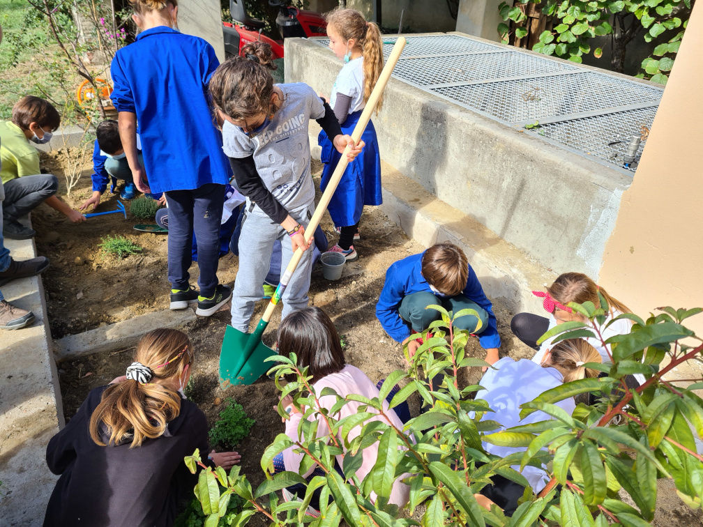 partecipazione  delle scuole