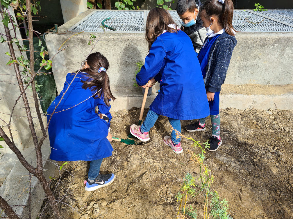 partecipazione  delle scuole