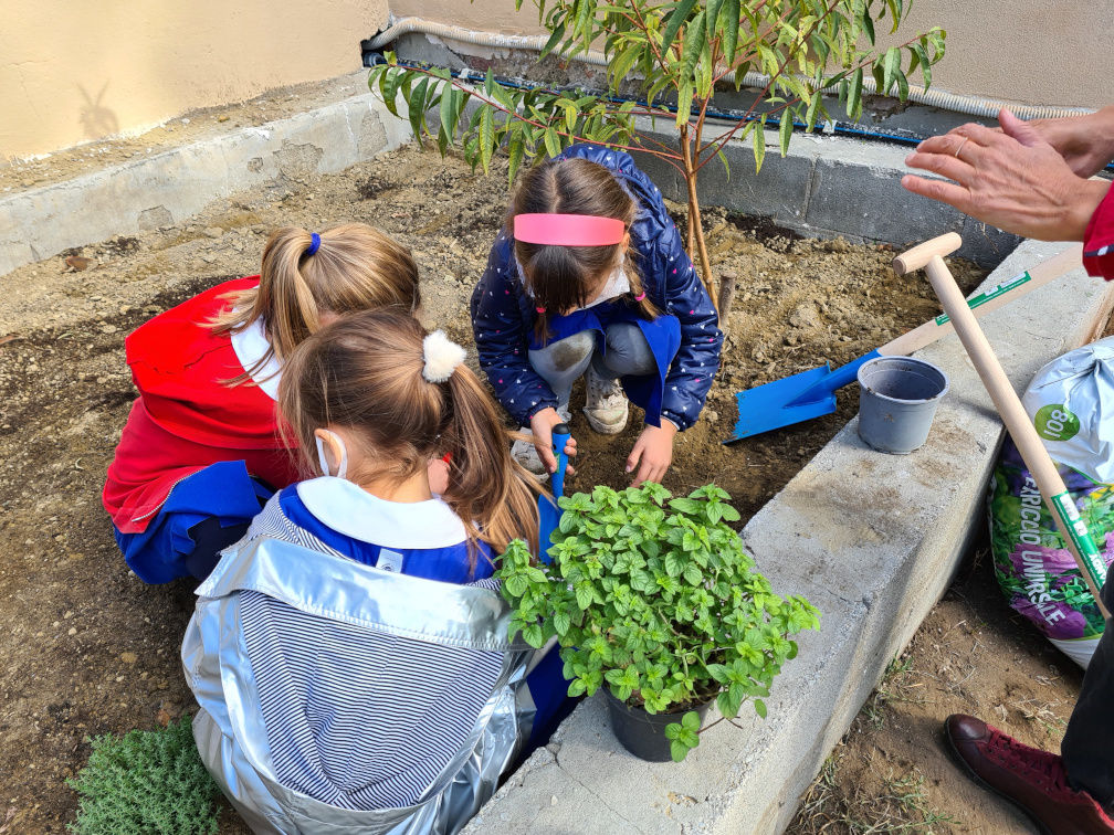 partecipazione  delle scuole