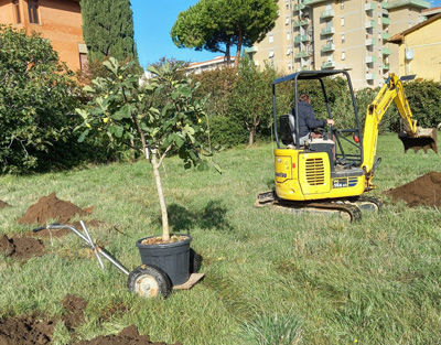 Scavi per la messa a dimora