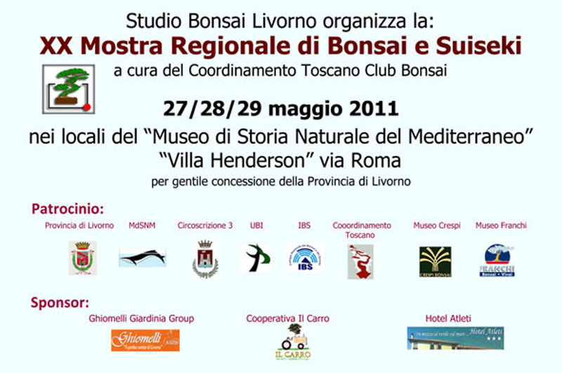 2011 - Mostra di bonsai e suiseki