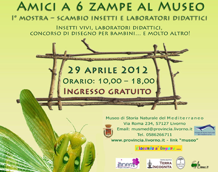 2012 - Amici a 6 zampe