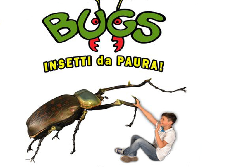 2015 - Bugs, insetti da paura!