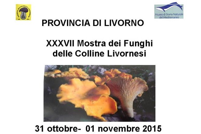 2015 - XXXVII mostra dei funghi delle colline livornesi