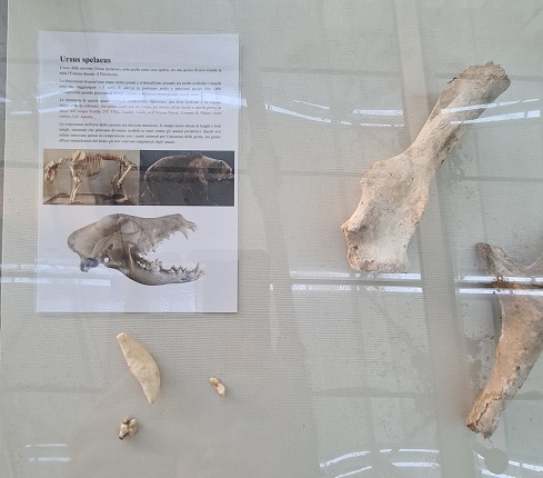 2022 - Toscana speleologica