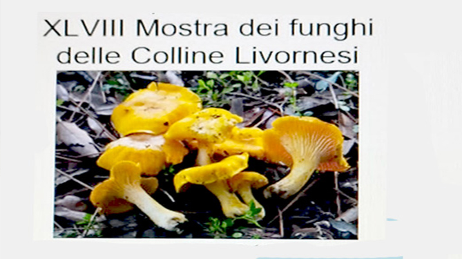 XLVIII Mostra micologica