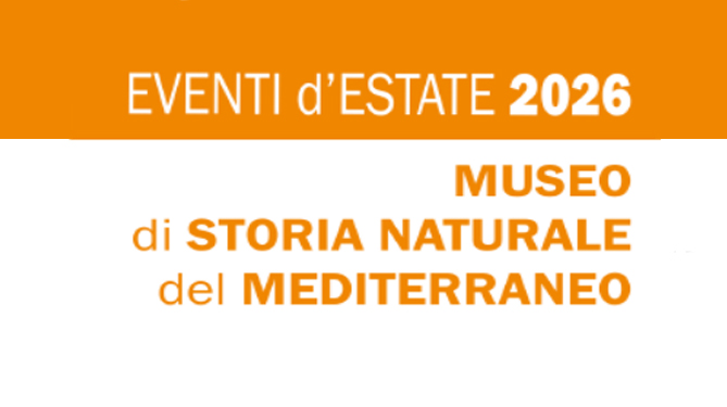 Eventi d'estate al museo